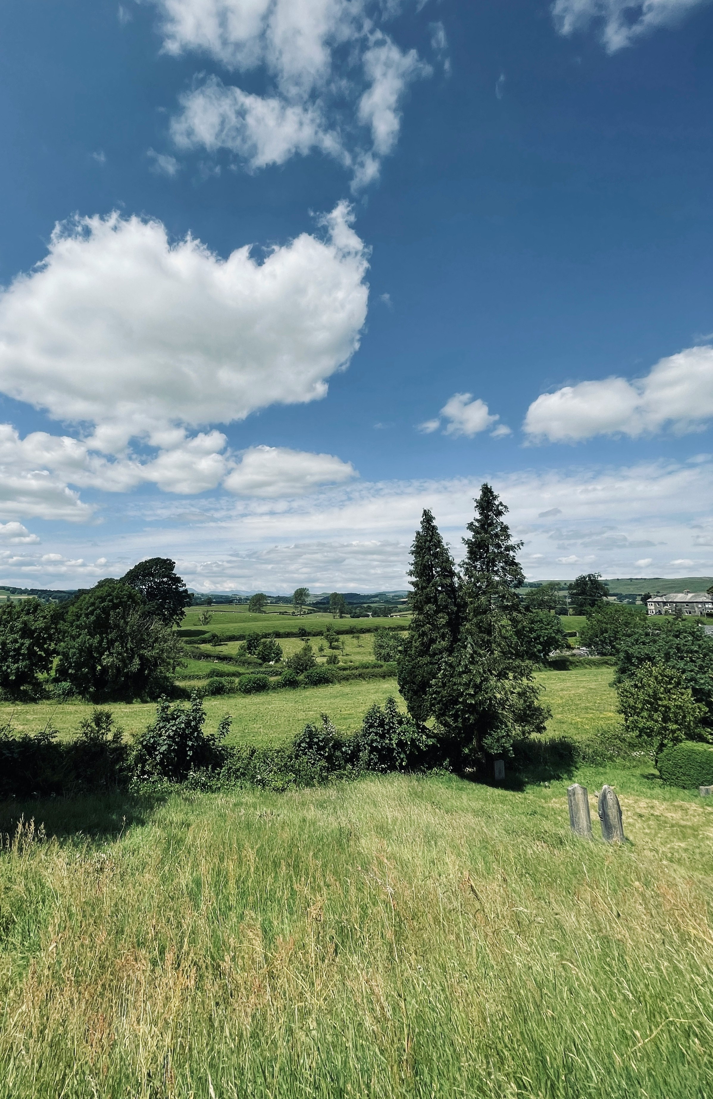 green grass field and trees under blue sky and white clouds during daytime